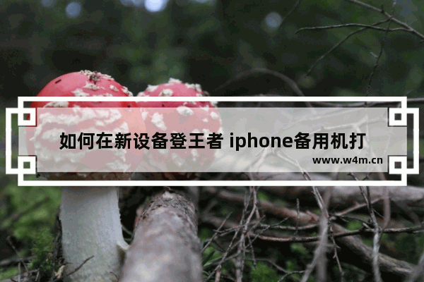 如何在新设备登王者 iphone备用机打游戏多大内存