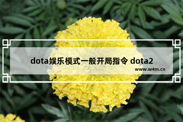 dota娱乐模式一般开局指令 dota2娱乐