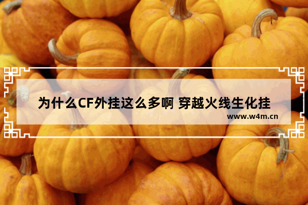 为什么CF外挂这么多啊 穿越火线生化挂