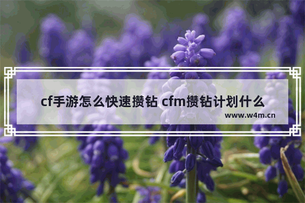 cf手游怎么快速攒钻 cfm攒钻计划什么意思