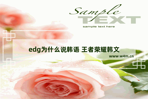 edg为什么说韩语 王者荣耀韩文