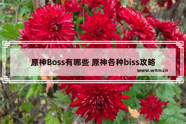 原神Boss有哪些 原神各种biss攻略