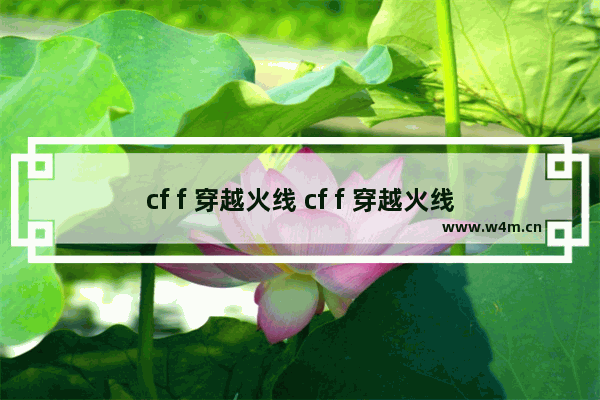 cf f 穿越火线 cf f 穿越火线