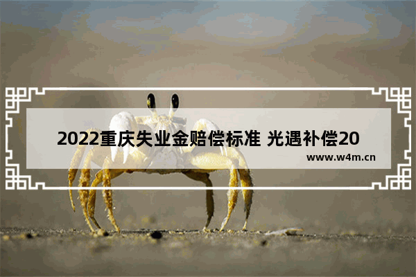 2022重庆失业金赔偿标准 光遇补偿2022