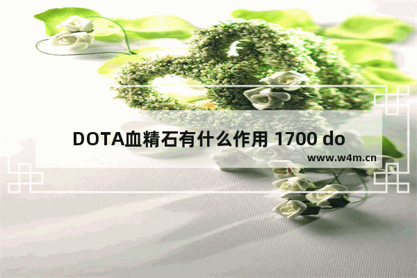 DOTA血精石有什么作用 1700 dota2