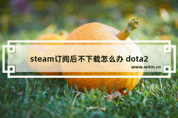 steam订阅后不下载怎么办 dota2 workshop