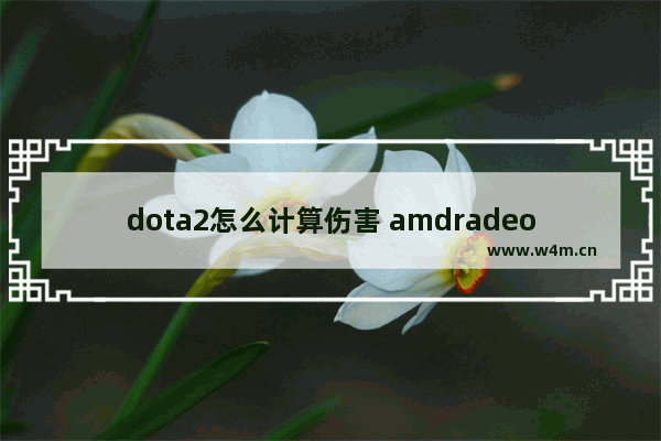 dota2怎么计算伤害 amdradeonhd7400series显卡怎么样 能不能玩dota2