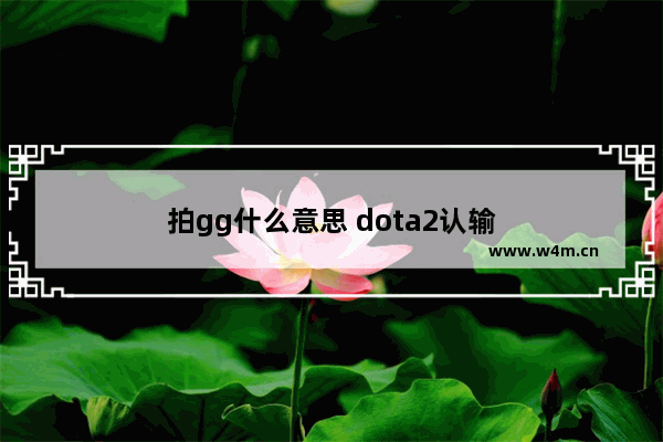 拍gg什么意思 dota2认输