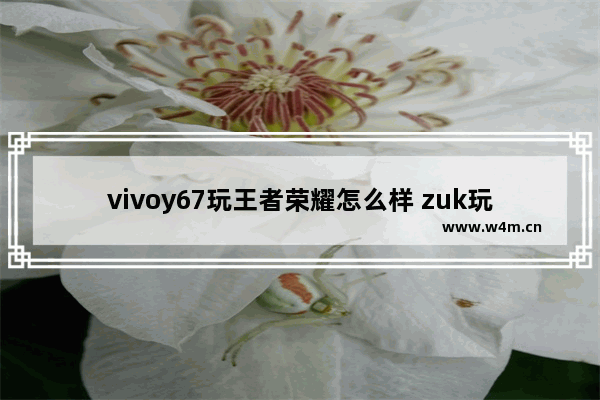 vivoy67玩王者荣耀怎么样 zuk玩王者荣耀