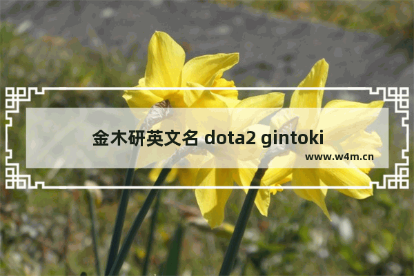 金木研英文名 dota2 gintoki