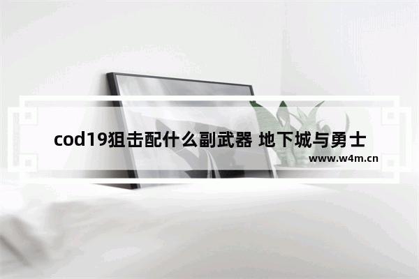 cod19狙击配什么副武器 地下城与勇士狙击武器搭配