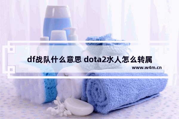 df战队什么意思 dota2水人怎么转属性