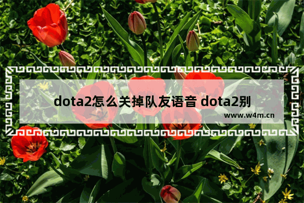 dota2怎么关掉队友语音 dota2别人语音说话我为什么听不见怎么设置