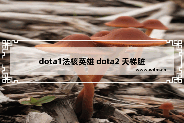 dota1法核英雄 dota2 天梯脏