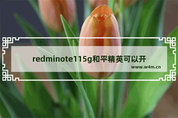 redminote115g和平精英可以开60帧了吗 移动5G和平精英