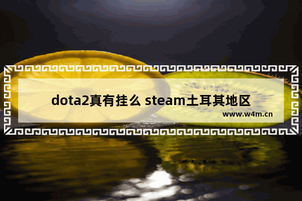 dota2真有挂么 steam土耳其地区怎么挂刀