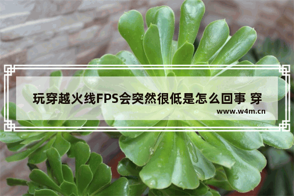 玩穿越火线FPS会突然很低是怎么回事 穿越火线fps越玩越低