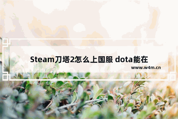 Steam刀塔2怎么上国服 dota能在steam上下么