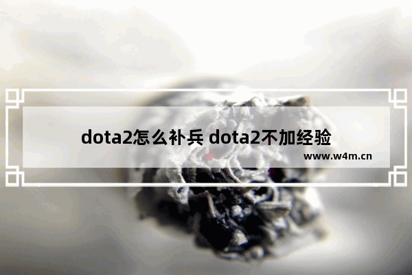 dota2怎么补兵 dota2不加经验