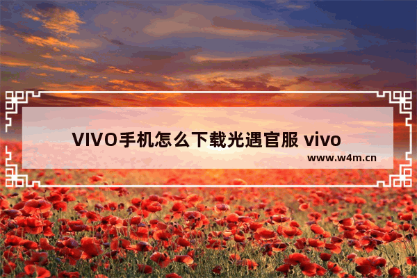 VIVO手机怎么下载光遇官服 vivo 版本光遇