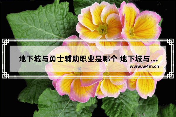 地下城与勇士辅助职业是哪个 地下城与勇士停封原因是使用外挂意味着什么