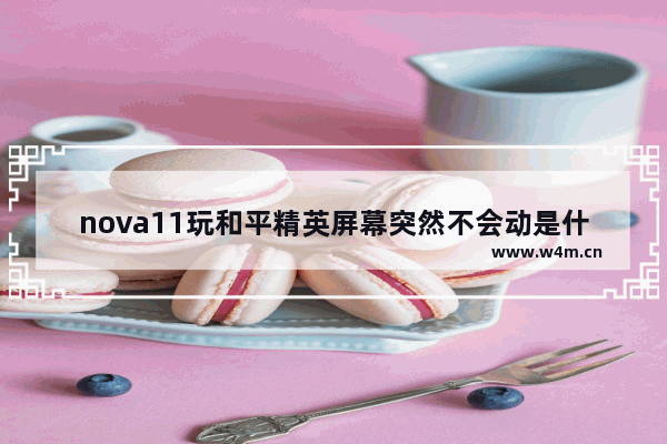 nova11玩和平精英屏幕突然不会动是什么问题 我不会打和平精英了