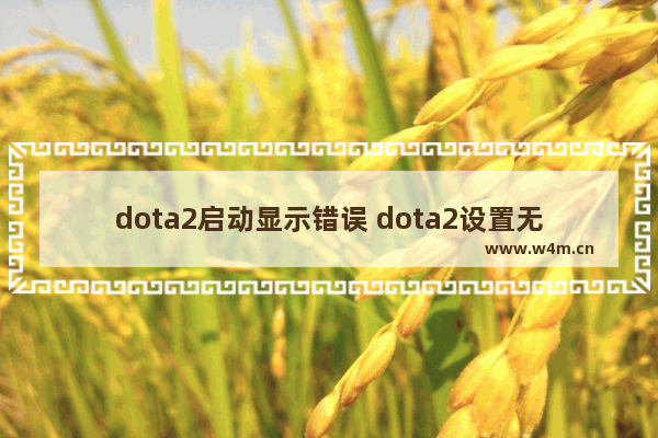 dota2启动显示错误 dota2设置无效