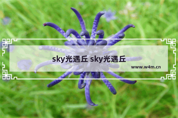 sky光遇丘 sky光遇丘