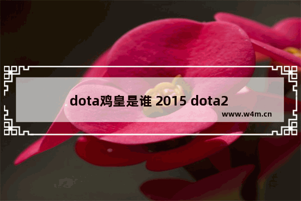 dota鸡皇是谁 2015 dota2 wca