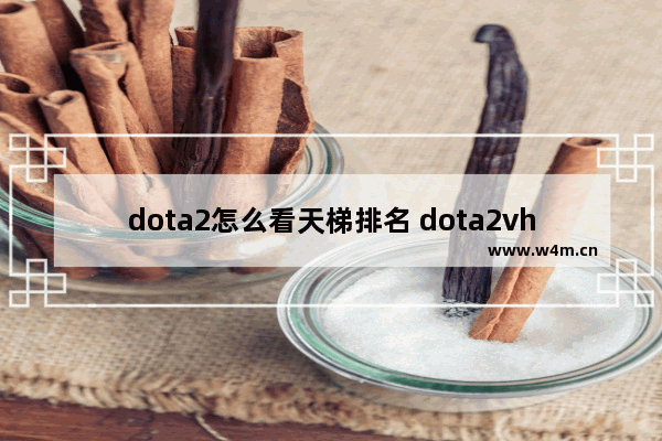 dota2怎么看天梯排名 dota2vh局是什么意思