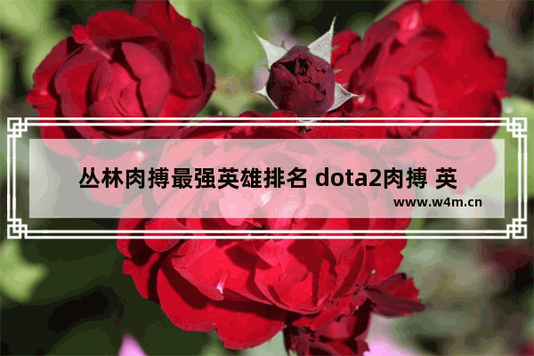 丛林肉搏最强英雄排名 dota2肉搏 英雄