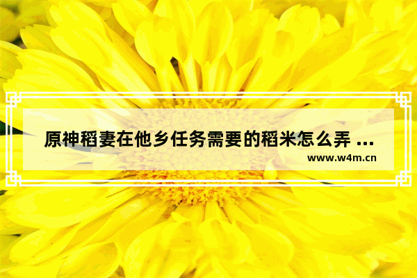 原神稻妻在他乡任务需要的稻米怎么弄 原神稻米食谱怎么获得