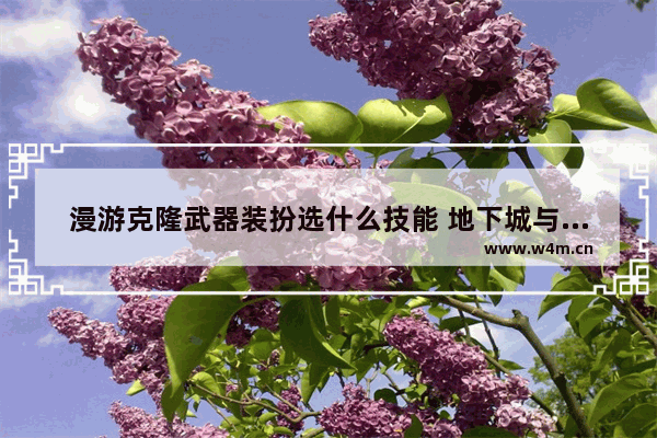 漫游克隆武器装扮选什么技能 地下城与勇士中110级男漫游++刷图装备怎么配