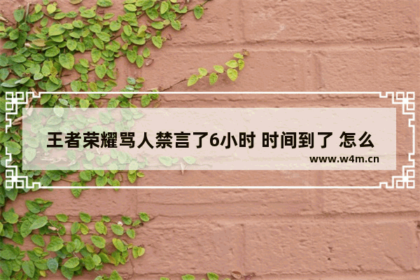 王者荣耀骂人禁言了6小时 时间到了 怎么还没解除 王者荣耀举报骂人