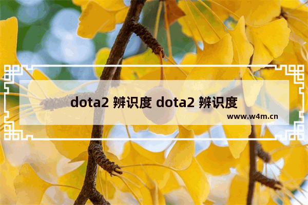 dota2 辨识度 dota2 辨识度