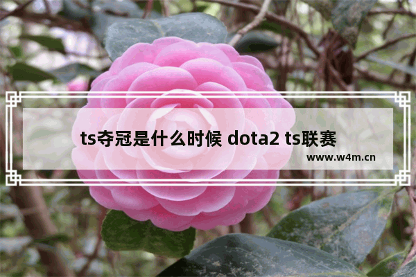 ts夺冠是什么时候 dota2 ts联赛