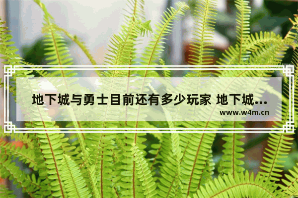 地下城与勇士目前还有多少玩家 地下城与勇士论坛哪个好