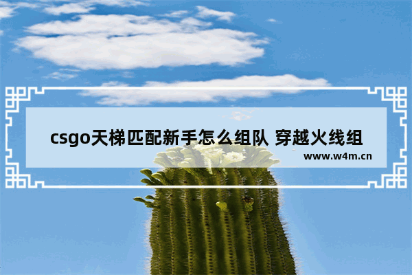 csgo天梯匹配新手怎么组队 穿越火线组队匹配