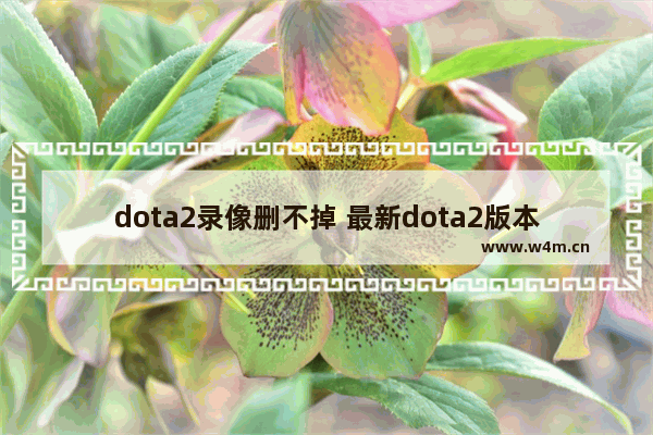 dota2录像删不掉 最新dota2版本里面下载的录像怎么删去