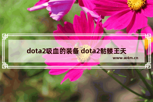 dota2吸血的装备 dota2骷髅王天赋加多少分裂