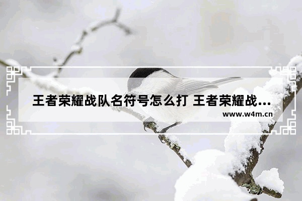 王者荣耀战队名符号怎么打 王者荣耀战队符号++