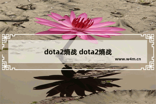 dota2熵战 dota2熵战