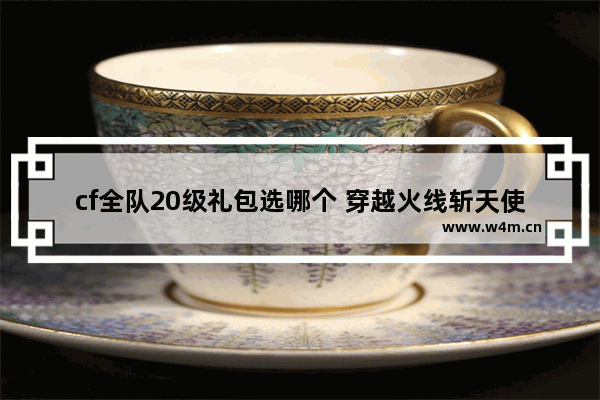 cf全队20级礼包选哪个 穿越火线斩天使