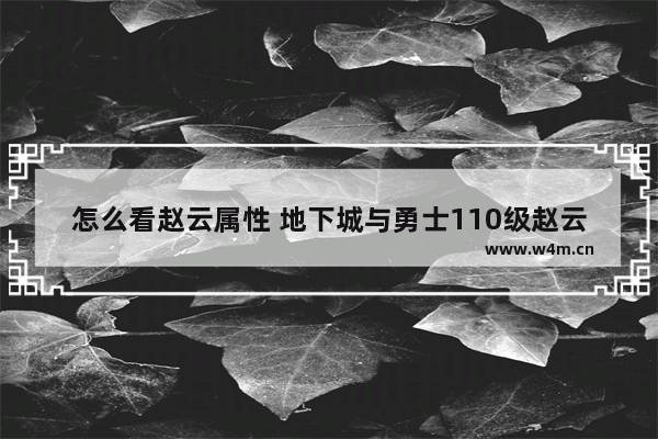 怎么看赵云属性 地下城与勇士110级赵云