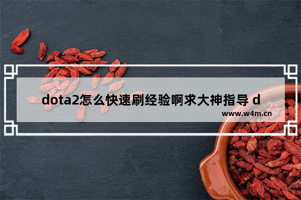 dota2怎么快速刷经验啊求大神指导 dota2 刷经验