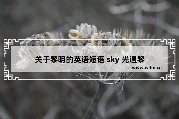 关于黎明的英语短语 sky 光遇黎