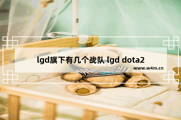 lgd旗下有几个战队 lgd dota2 成员