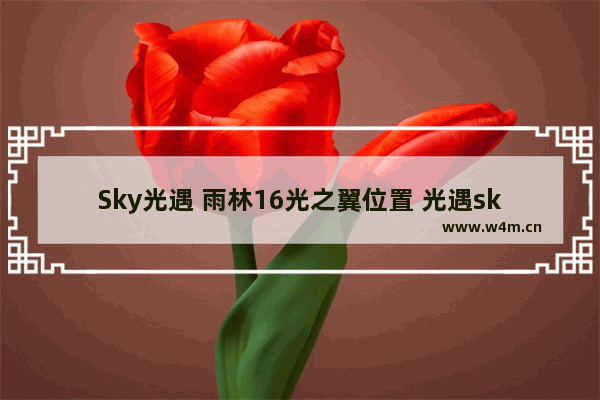 Sky光遇 雨林16光之翼位置 光遇sky 十七