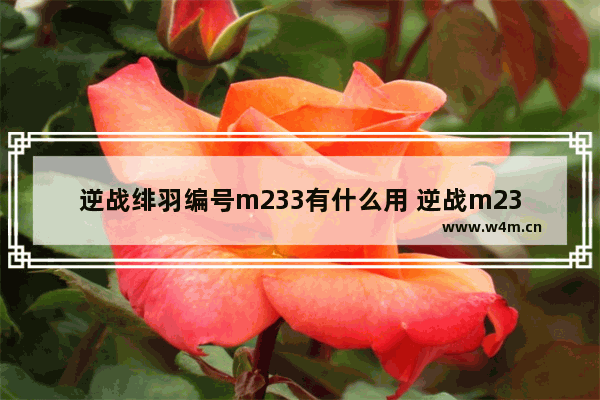 逆战绯羽编号m233有什么用 逆战m233和鲲能叠加吗