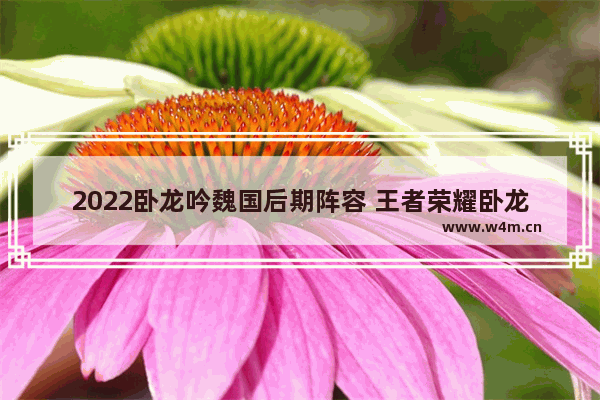 2022卧龙吟魏国后期阵容 王者荣耀卧龙解说